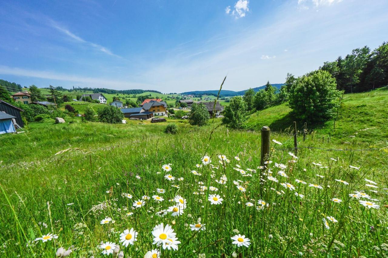 Hubertus Lodge Ibach Екстер'єр фото