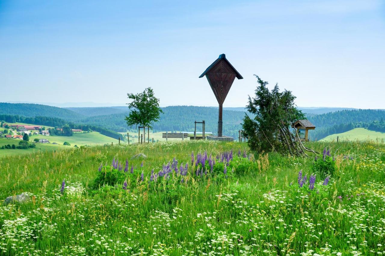 Hubertus Lodge Ibach Екстер'єр фото